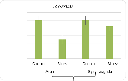EXPRESSION ANALYSIS OF TaWXPL1D GENE IN WHEAT GENOTYPES UNDER DROUGHT STRESS