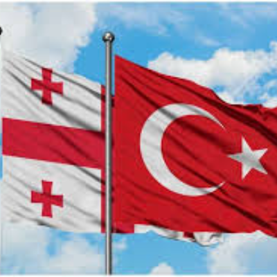 TÜRKİYƏNİN CƏNUBİ QAFQAZ SİYASƏTİNDƏ GÜRCÜSTANLA  MƏDƏNİ VƏ HUMANİTAR ƏLAQƏLƏR: 2002–2021-Cİ İLLƏR ÜZRƏ TƏHLİL 