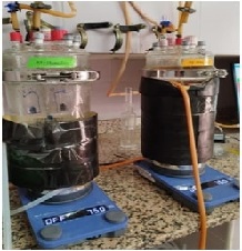 IMPACT OF MICRO-AERATION ON FUNGAL COMMUNITY FROM ANAEROBIC DIGESTION