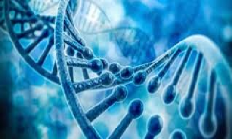 STUDY OF ANTIOXIDANT AND ANTIRADICAL PROPERTIES OF NATURAL COMPOSITIONS OF MEDICINAL PLANTS FROM THE FLORA OF AZERBAIJAN
