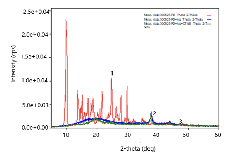 NOVEL SILVER NANOPARTICLE COMPLEXES BASED ON BISACETYLACETONEETHYLENEDIAMINE AND CETYLTRIMETHYLAMMONIUM BROMIDE: SYNTHESIS AND STRUCTURE