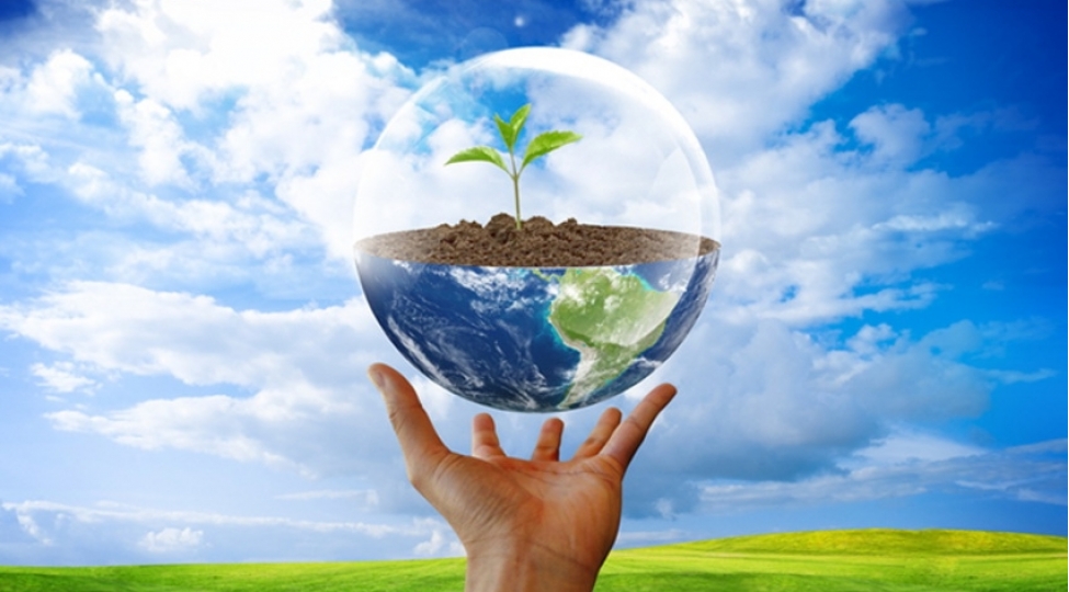 THE EU’S ROLE IN ENVIRONMENTAL LIABILITY AGREEMENTS