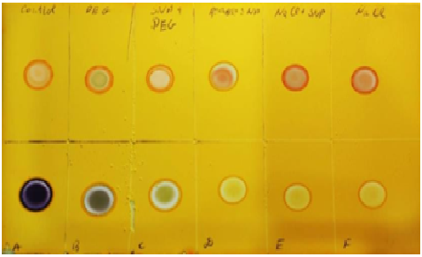 EFFECT OF NO INDUCTOR ON PROLINE CONTENT OF TRITICUM DURUM UNDER DROUGHT AND SALINITY STRESS