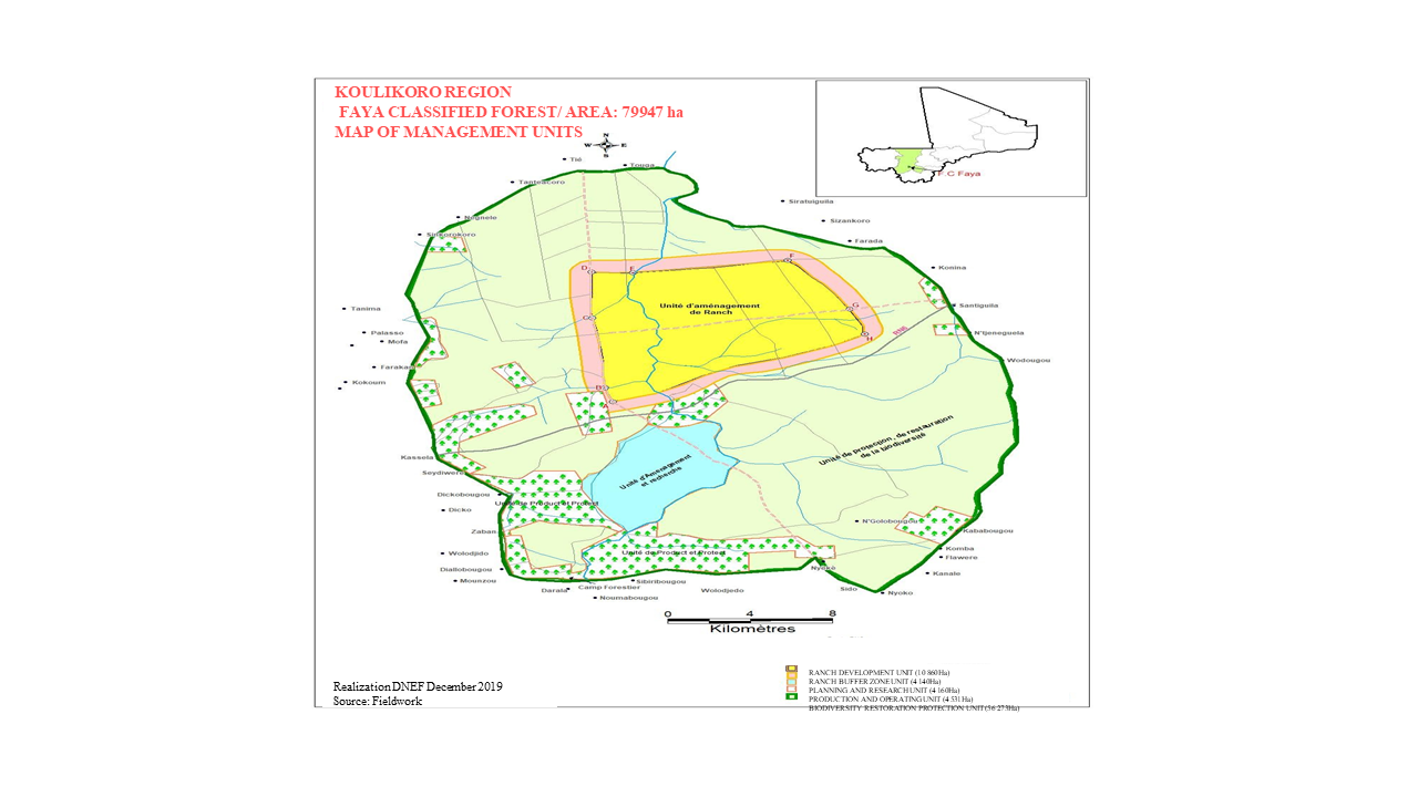 ANALYSIS OF MANAGEMENT STRATEGIES AND PROSPECTS OF THE CLASSIFIED FOREST OF FAYA IN MALI