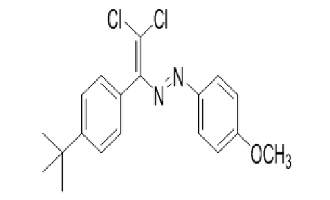 ASSESSMENT OF ANTIFUNGAL ACTIVITY OF DICHLORODIAZADIENES AND HYDROZO-BASED COMPOUND DERIVATIVES
