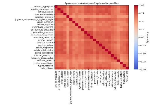 COMPARATIVE ANALYSIS OF SPLICE SITE USAGE ACROSS PLANT GENOMES